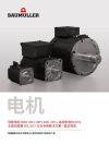 Cover image  Brochures / Flyer 电机 (Motors)