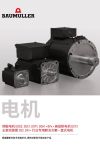 Immagine di copertina Brochures / Flyer 电机 (Motors)